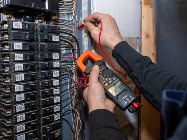 Best Electric Panel Repair  in Byron, MN